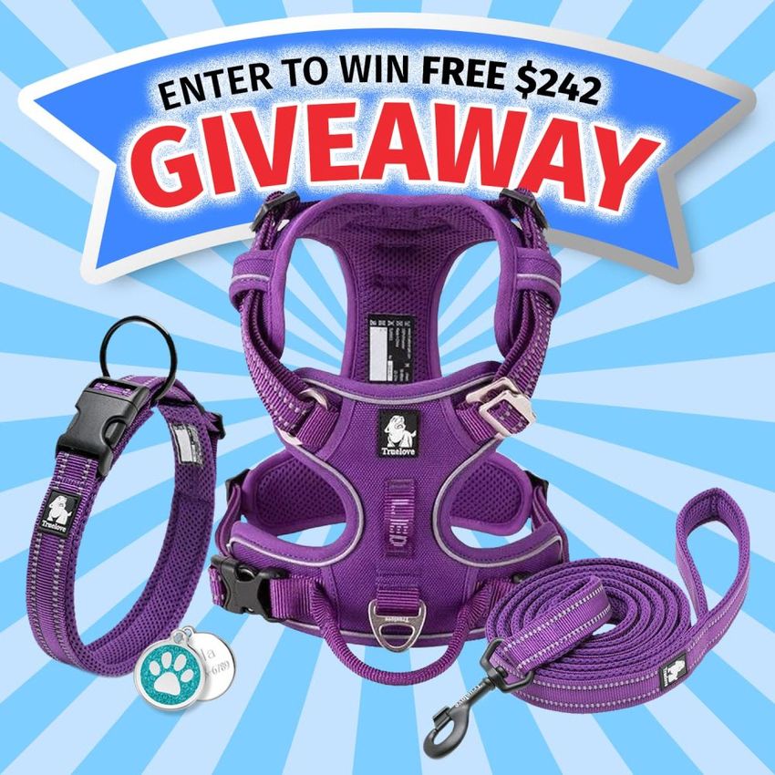 Giveaway image