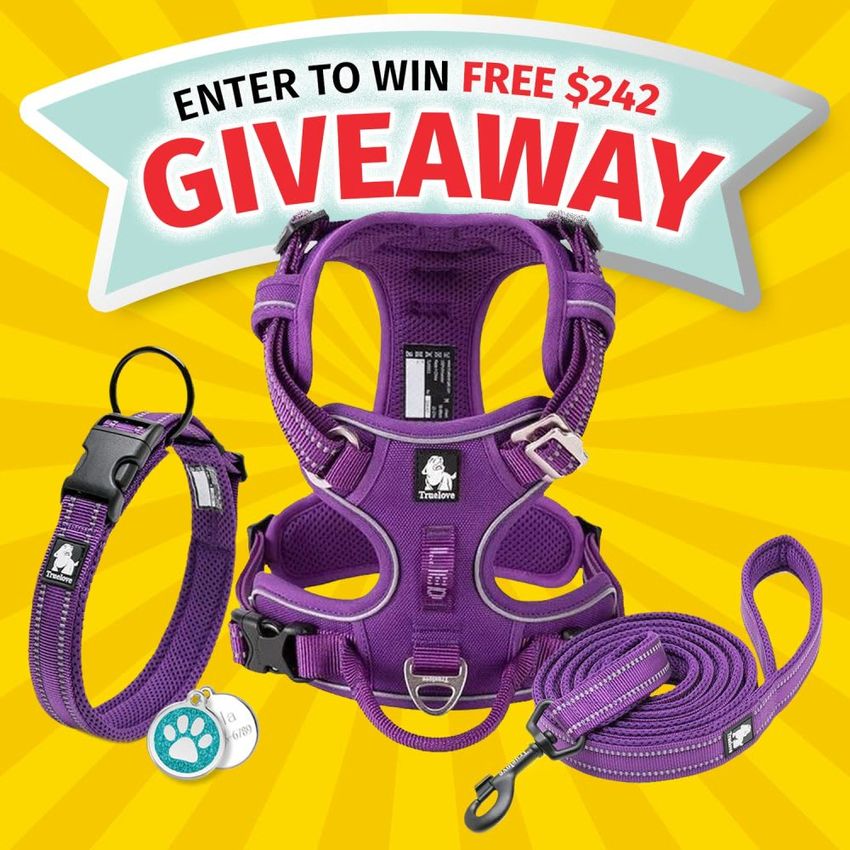 Giveaway image